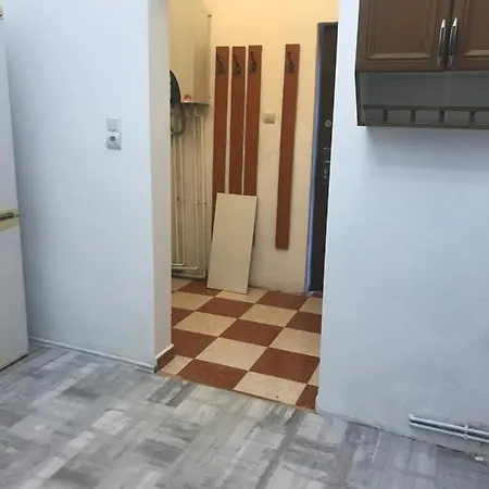 Alex 7 Timişoara
